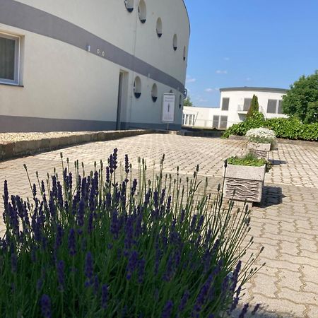 Hotel Nautilus Étterem és Panzió à Dabas Extérieur photo