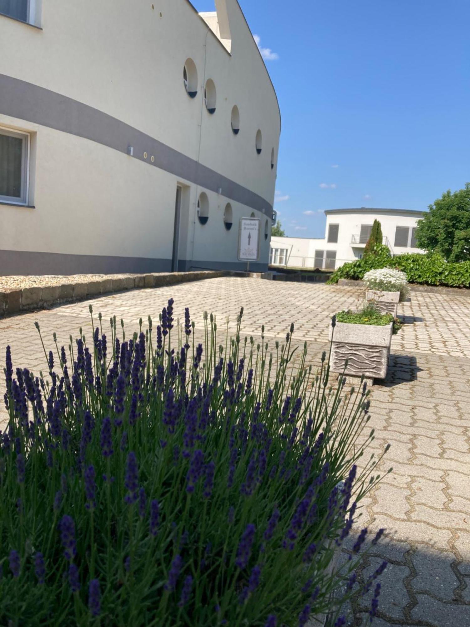Hotel Nautilus Étterem és Panzió à Dabas Extérieur photo